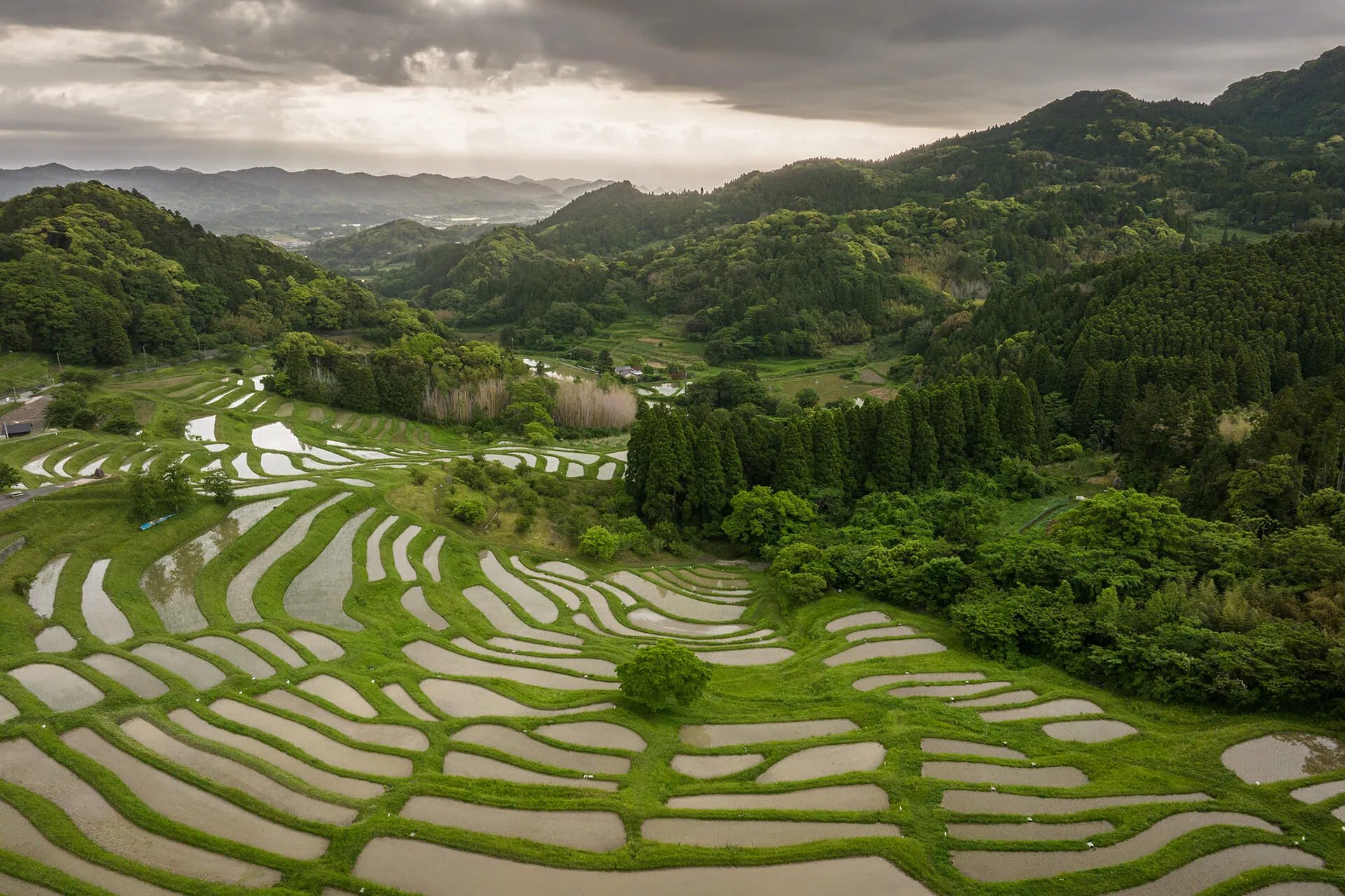 🌾 오오야마 계단식 논(오오야마 센마이다) 이미지 8